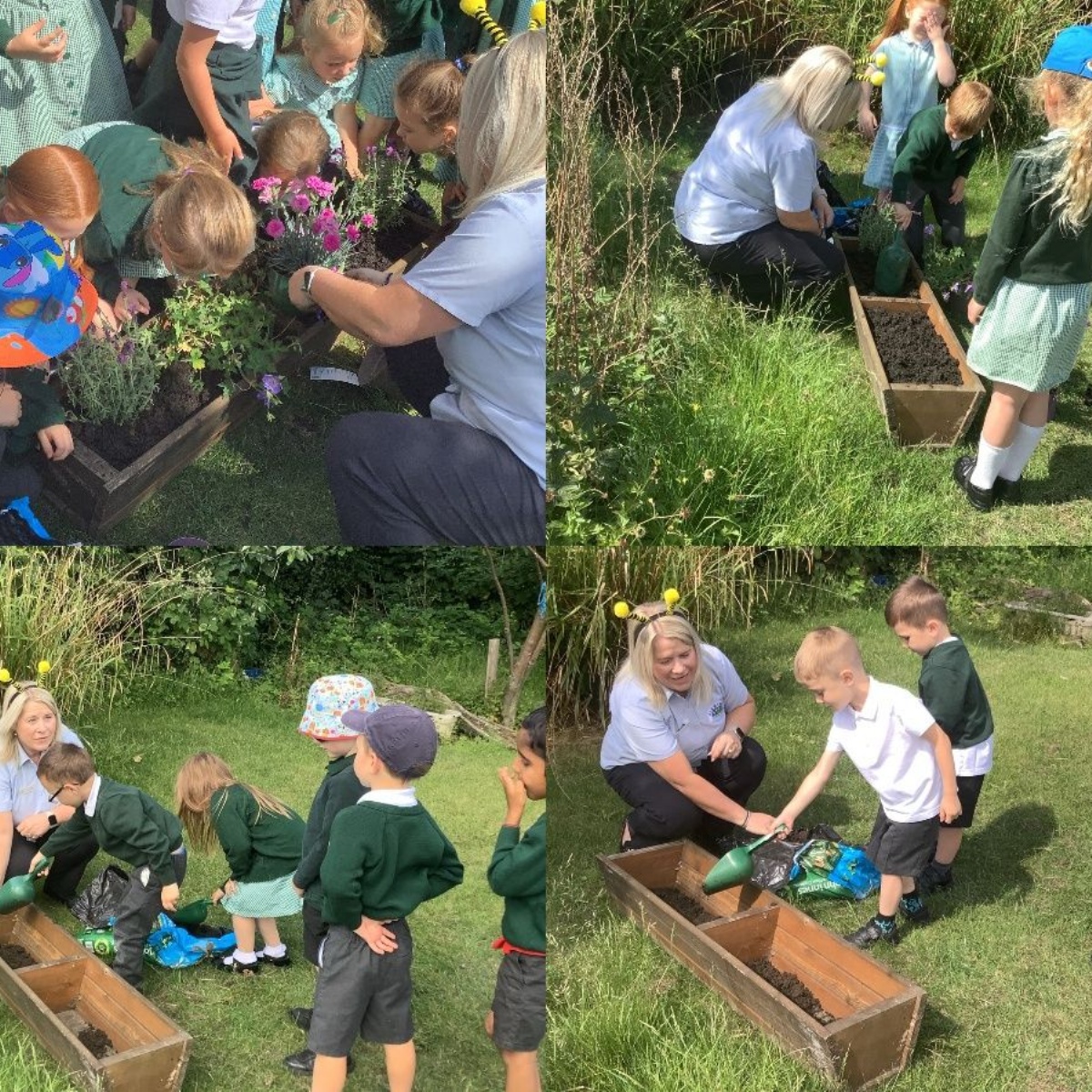 dosthill-primary-academy-reception-gets-green-fingered-while-learning